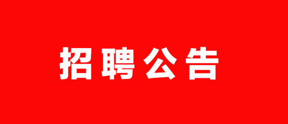 德州市城市建設(shè)投資發(fā)展集團(tuán)有限公司2023年權(quán)屬公司公開(kāi)招聘工作人員公告